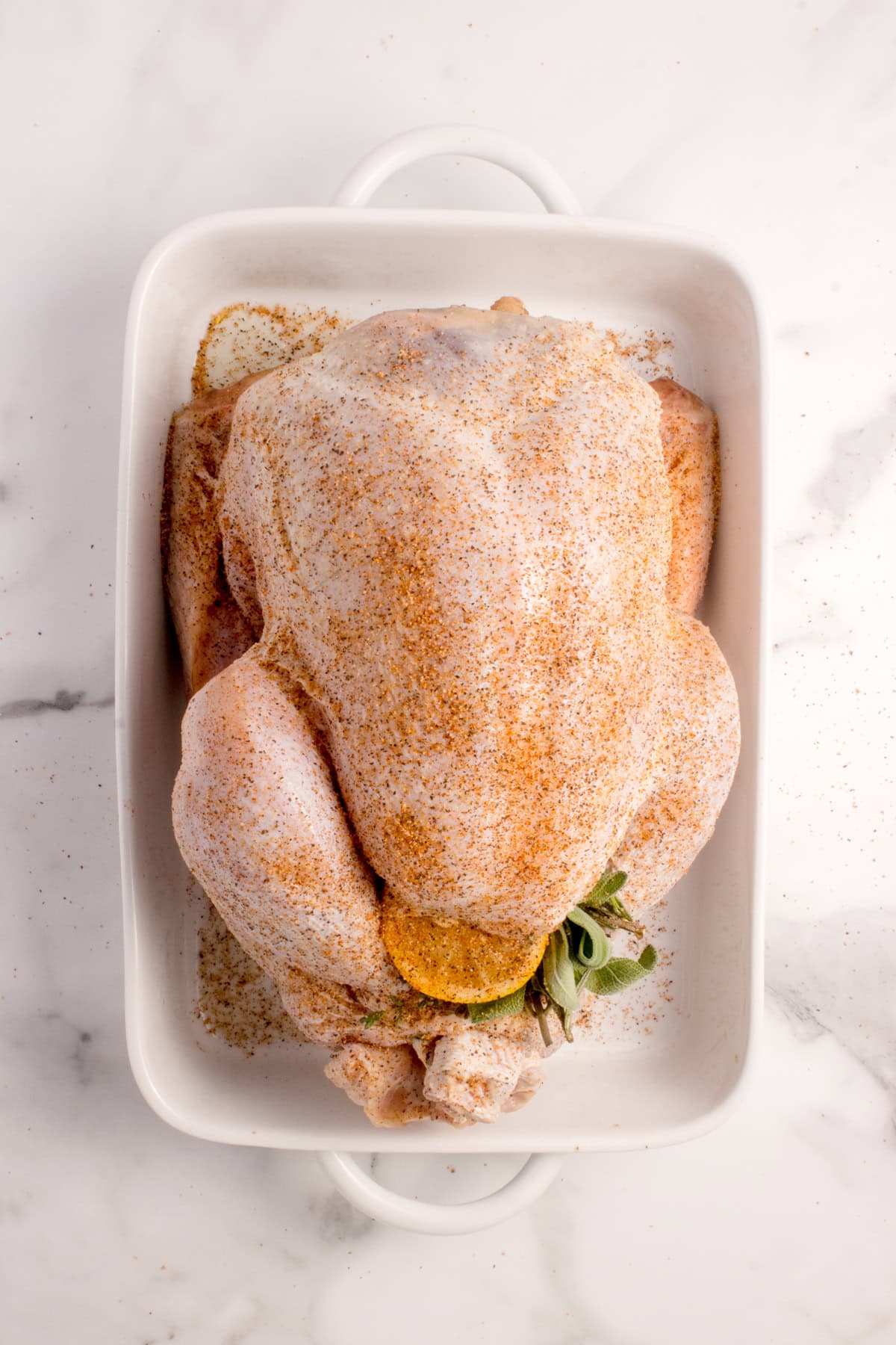 Seasoned turkey for this Easy Oven Baked Turkey Recipe