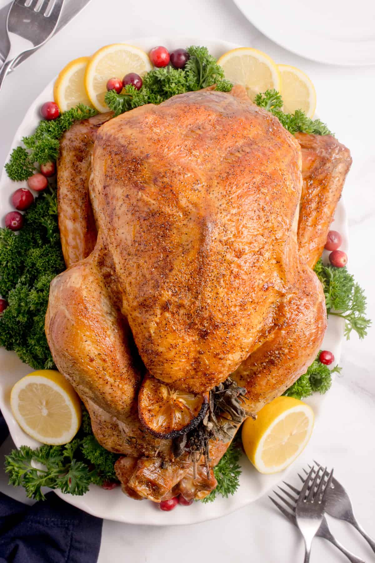 A whole turkey on a platter