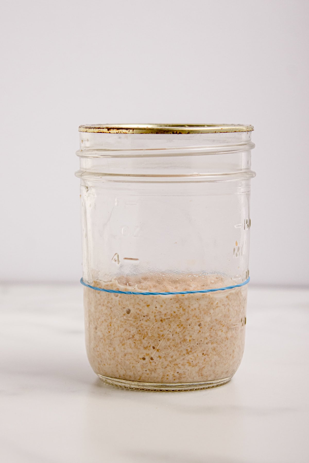 Fed starter