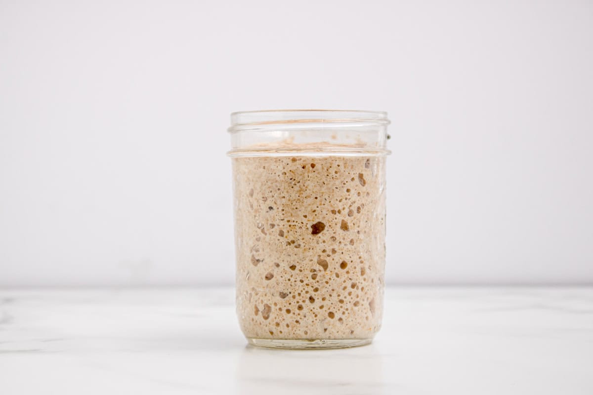 Fully risen sourdough starter